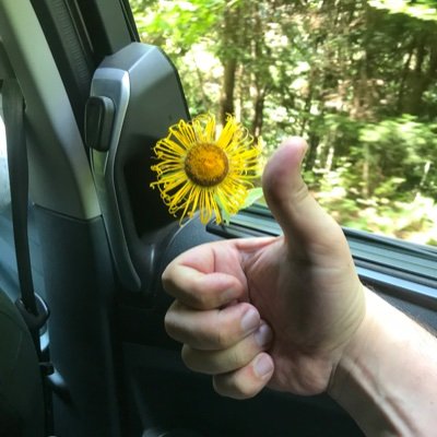 yldrm_6161's profile picture. 