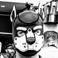 Pup Sabotage (@pupsabotage) 's Twitter Profile
