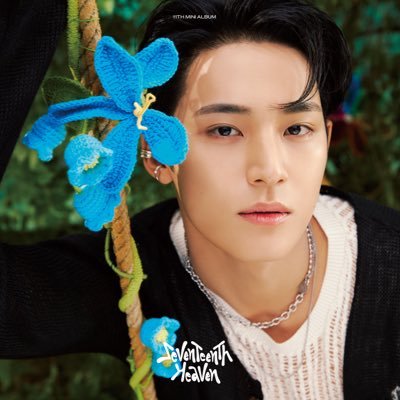 gyuseokhaolove Profile Picture