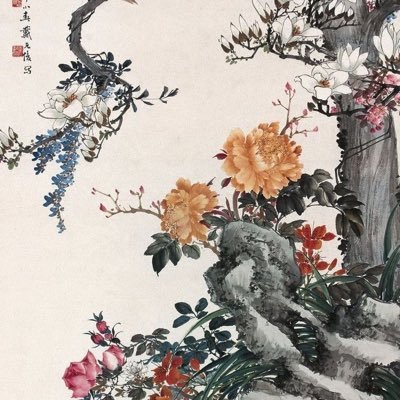 haileyykrauss's profile picture. what