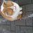 printemp1815's profile image