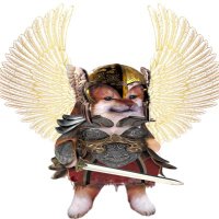 ZedliKit (@liszee) 's Twitter Profile
