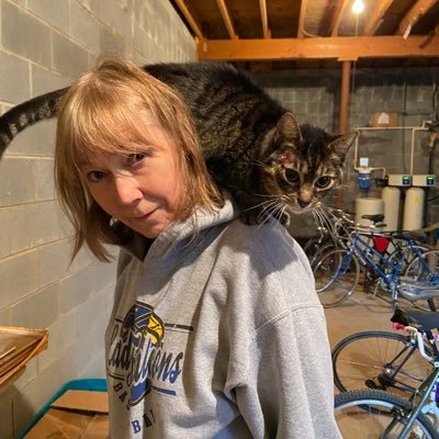 LaurelEverett12's profile picture. 