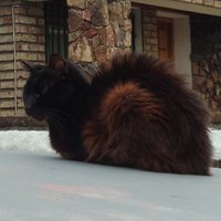 Michel (@lvmicheel) 's Twitter Profile