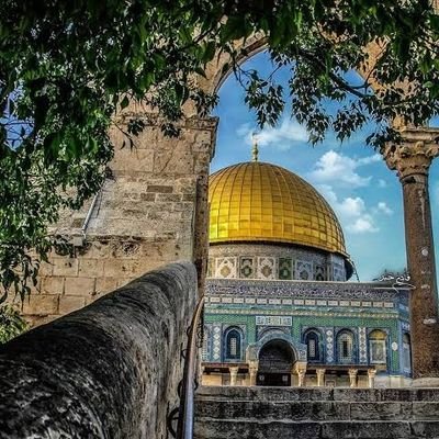 bayh67104's profile picture. السلام والخير..
 مصرية وعاشقة للمملكة العربية السعودية  شعبا وحكاما  💚💚🇸🇦🇪🇬💚💚