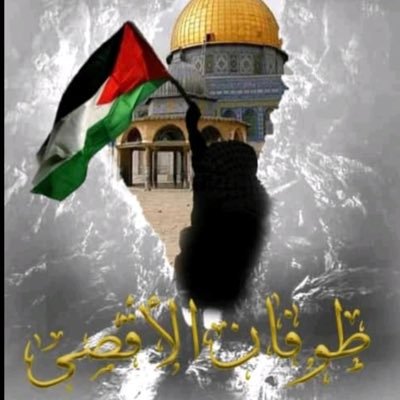 Muhammad42071's profile picture. 