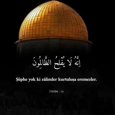 mesutgul1's profile picture. helal ap açıktır, haramda ap açıktır.