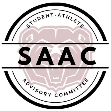 SAACMOState Profile Picture