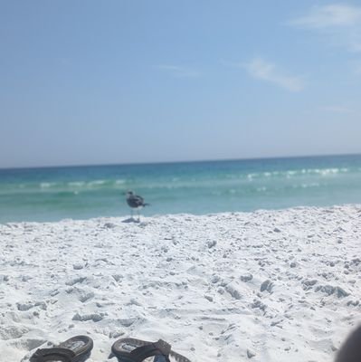 Bro67483979's profile picture. 