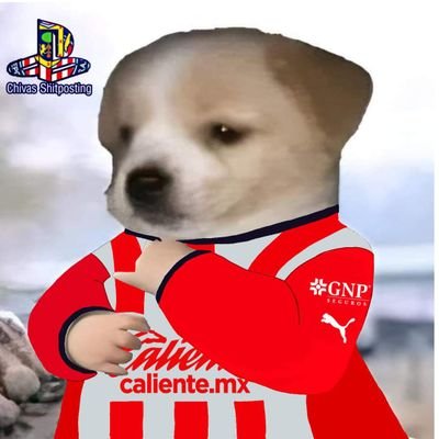 Chiva Pana🐐🏆🇨🇵
Fútbol, Videojuegos y Anime⚽🎮