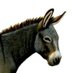 Floppy Donkey (@h06959567) Twitter profile photo