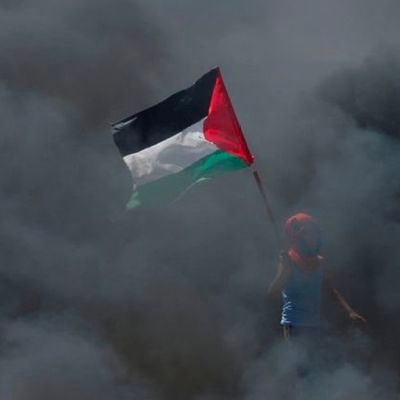 areebahkhaled's profile picture. 