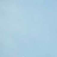 SALMAH1440's profile picture. ….