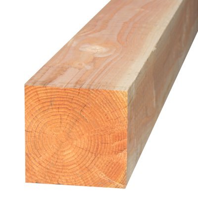 Living wooden plank
Comms info (and more): https://t.co/NFzJ7YljeC