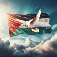 Celtic OK (@provobhoyz) 's Twitter Profile Photo