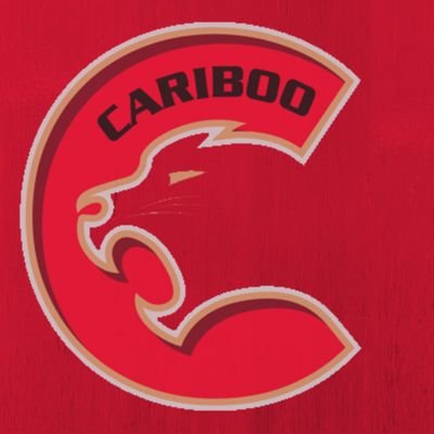 Cariboo Cougars U18 Profile