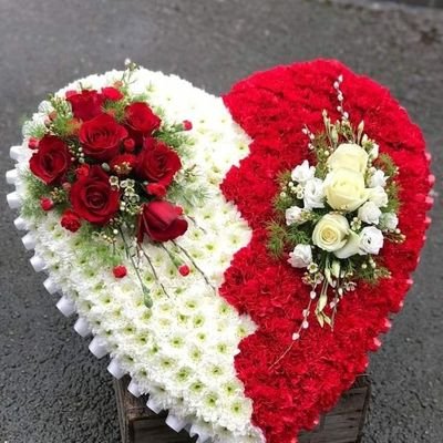 Yasinulhassan12's profile picture. 