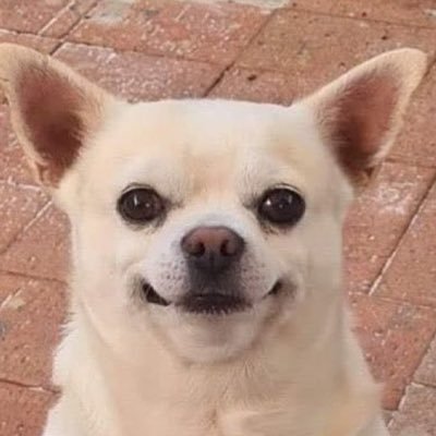 SapphireToes's profile picture. 