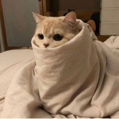 qwasedfr201650's profile picture. I'm free to be the greatest