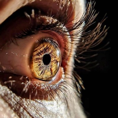 belamacheabouba's profile picture. قد يبيع الإنسان شيئاً قد شراه، ولكن لا يبيع قلباً قد هواه. في لحظةٍ تشعر أنّك شخص في هذا العالم، بينما يوجد شخص في العالم، يشعر أنّك العالم بأسرهِ.