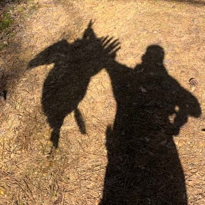 LoweryLanc717's profile picture. 