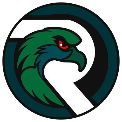 Rapideagle311 Profile Picture