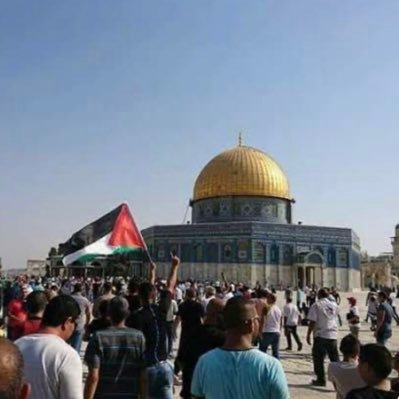 bdallhabwa19081's profile picture. الكلمة الطيبة جواز مرور إلي كلّ القلوب 🌹