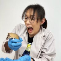 deborah ho, M.S. / @debho.bsky.social (@debbb_ho) 's Twitter Profile