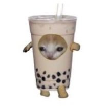밥뭇자さんのプロフィール画像