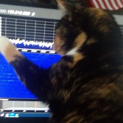 wyattaw0's profile picture. 