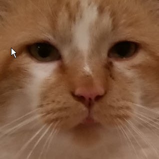 MrBoDaCat Profile Picture