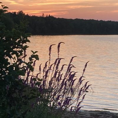 Ctina831's profile picture. 🇺🇸