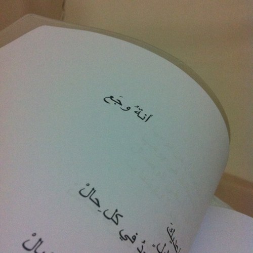 مؤلفاته(١:حائل قبل مئة عام سيرة مدينه في سيرة رجل)(٢:تجليات الوجد والمطر ديوان شعر)(٣:الصين الحضاره والثقافه)(٤:رساله إلى عمر الخيام ديوان شعر)