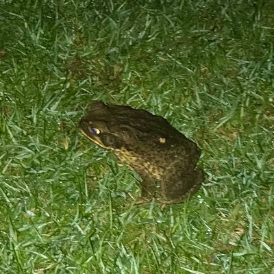 jess_ica_83's profile picture. 