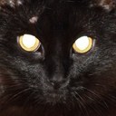 Will Hines - @whines6 - Twitter