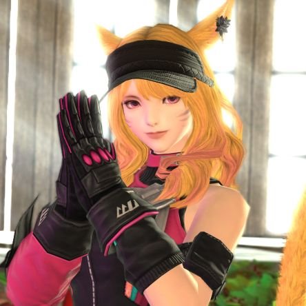 ANN/Alion Ragdollさんのプロフィール画像