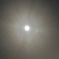 5StarryEyes (@5starryeyes1) 's Twitter Profile Photo 5StarryEyes (@5starryeyes1) 's Twitter Profile Photo
