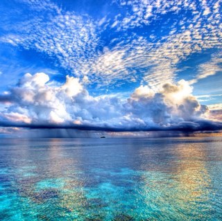 Bpdbod's profile picture. BPD sufferer, interested in mental health issues and those organisations pioneering change