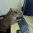 Rayne0fTerror's profile image