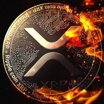 XRP_hodl4ever Profile Picture