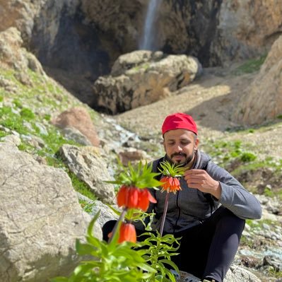 xweliserizm's profile picture. Dar li ser koka xwe,Mirov li ser zimanê xwe şîn dibe☘️