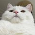 Jacqueline23 (@jacquel12826403) Twitter profile photo Jacqueline23 (@jacquel12826403) Twitter profile photo