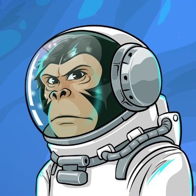 Chimpz Profile