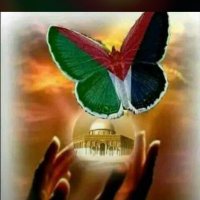 معلمة المعلمة (@mpiwmzf16hdnied) 's Twitter Profile