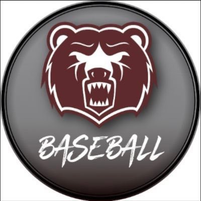 LCHSBearsBSBL Profile Picture