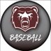 Lawrence Central Baseball (@LCHSBearsBSBL) Twitter profile photo