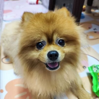 斯年💫就是三千年也等💫さんのプロフィール画像