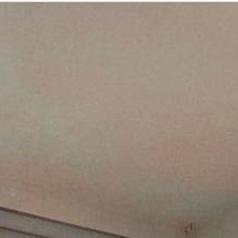 MC40813842's profile picture. 