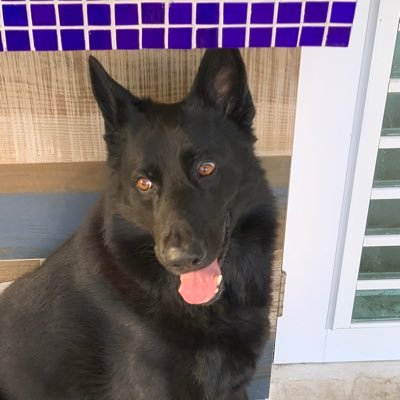 AngelLlavona's profile picture. 