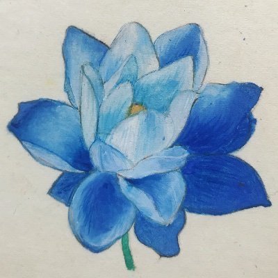 lavagabondia's profile picture. de nada.